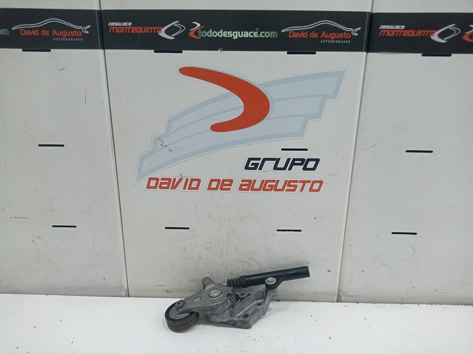 Polea tensora volkswagen golf iv berlina (1j