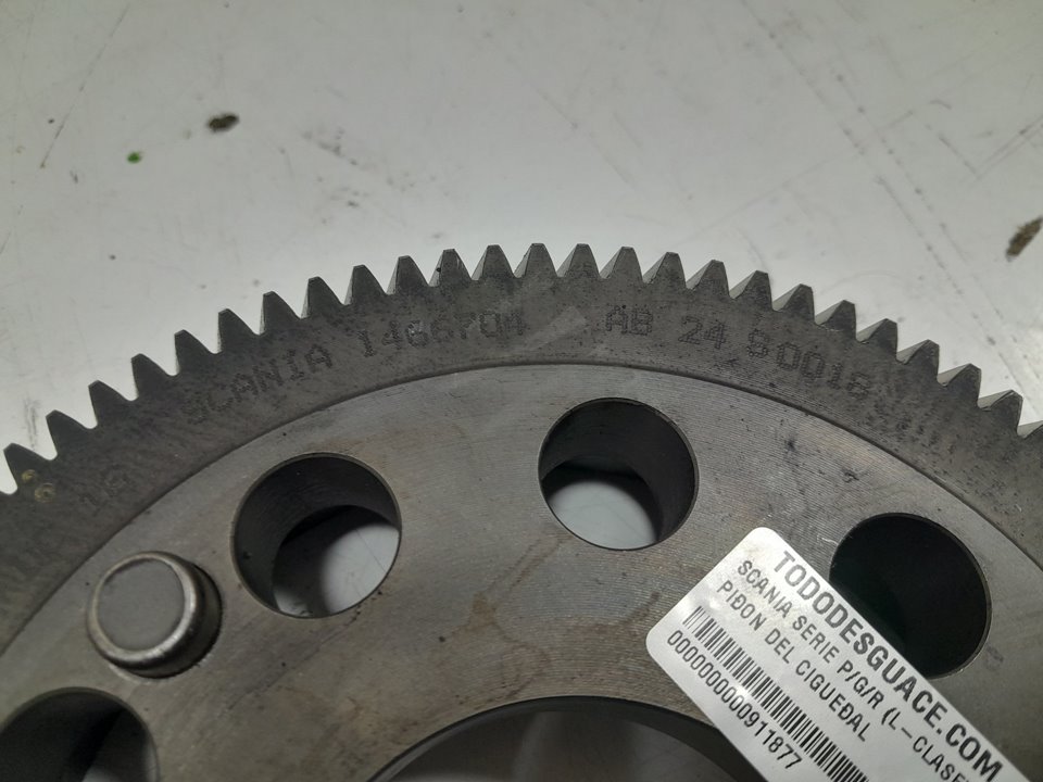 PiÑon del cigueÑal scania serie pgr (lclase) f