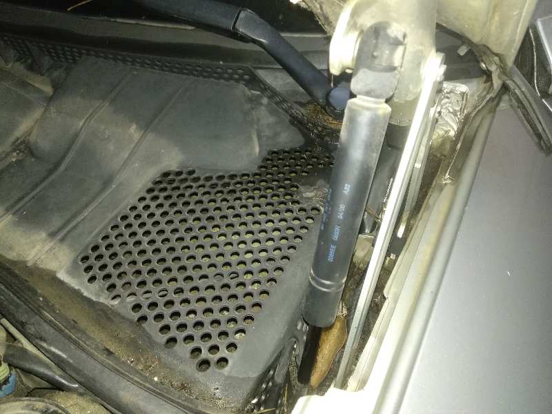 Amortiguadores capo opel vectra b fastback 2.0 dti 16v (f68)