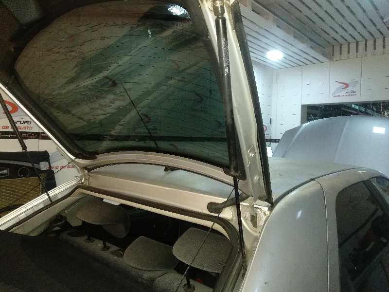 Amortiguadores maletero / porton 1.6 16v