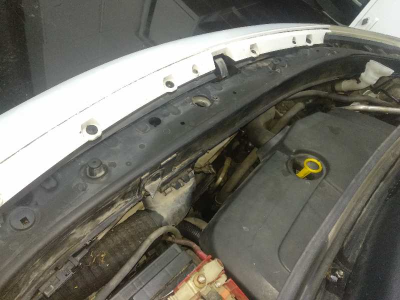 Radiador agua 1.5 dci (jm0f)