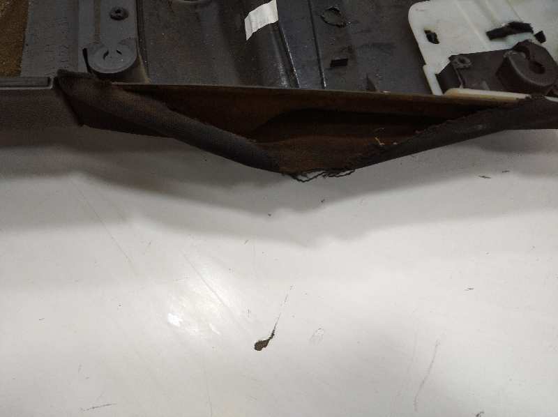 PaÑo puerta delantero izquierdo 1.9 tdi