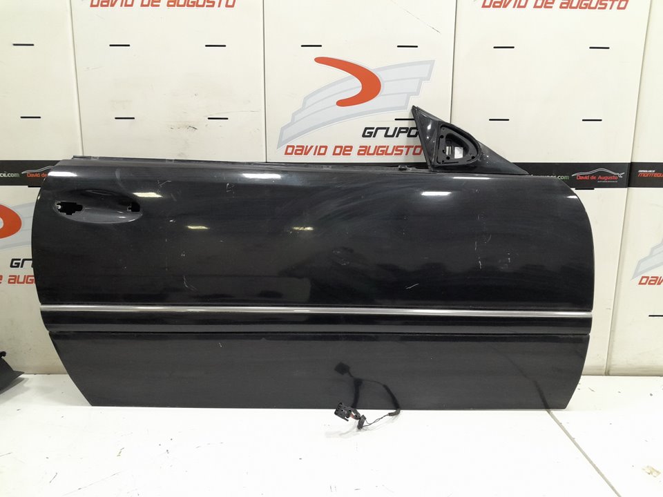 Puerta delantera derecha 