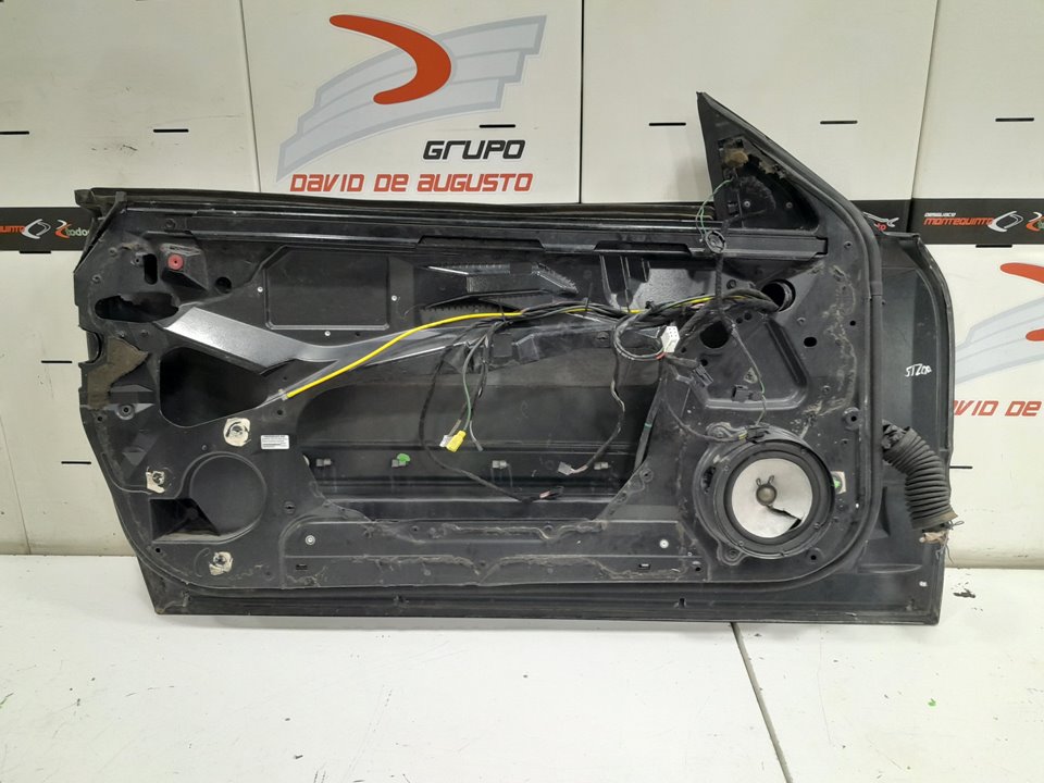 Puerta delantera izquierda 