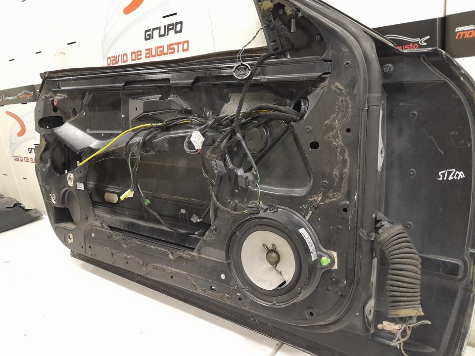 Puerta delantera izquierda 