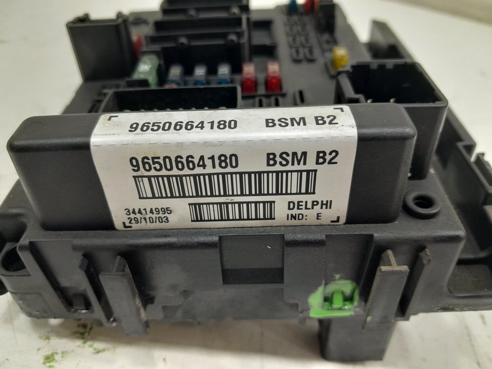 Modulo bsm peugeot 206 fastback 2.0 hdi 90