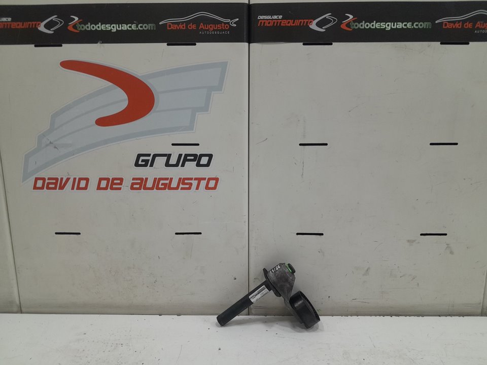 Polea tensora bmw x6 xdrive 30 d