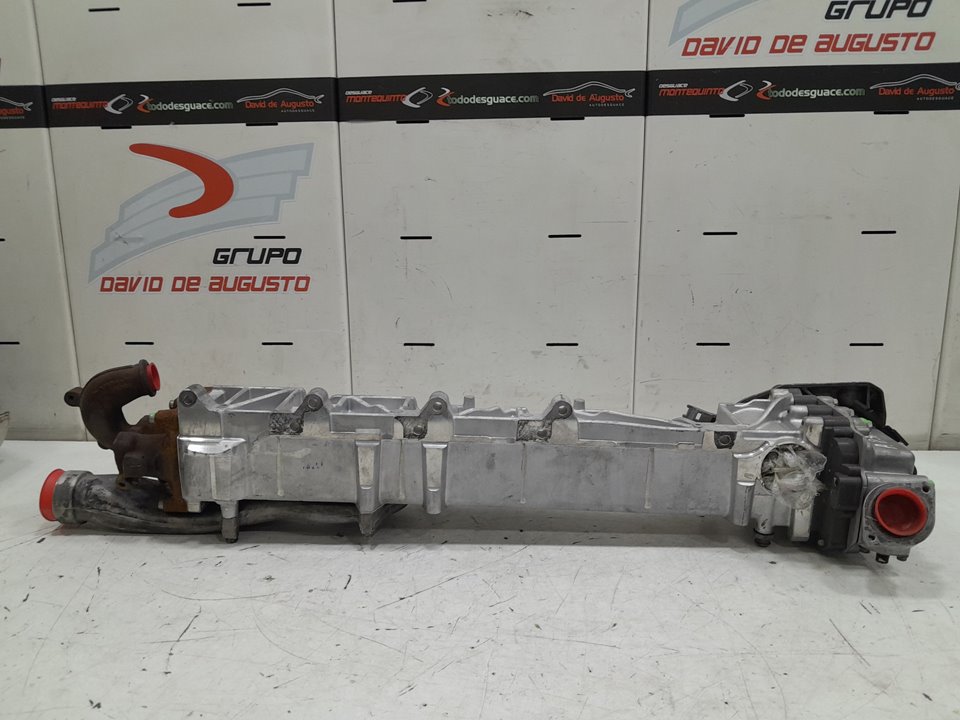 Valvula egr man tgx 18.xxx fg    4x2   bl