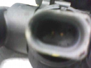Termostato SEAT IBIZA (6L1) 2004