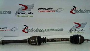NO IDENTIFICADO RENAULT SCENIC II 2004