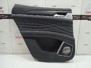 PAÑO PUERTA TRASERO IZQUIERDO DFSK FENGON IX5 2025