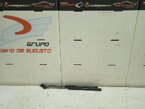 AMORTIGUADORES MALETERO / PORTON RENAULT