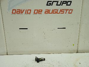 INYECTOR CITROEN C3 2004