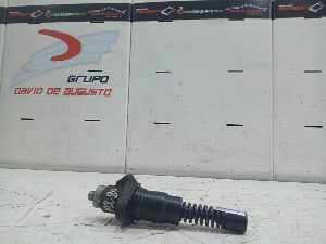 INYECTOR RENAULT PREMIUM DISTRIBUTION 2009