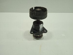 RODILLO TENSOR FORD TOURNEO CONNECT (TC7) 2006