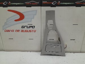 CARCASA GUARNECIDO CENTRAL BMW SERIE 3 BERLINA (E90)