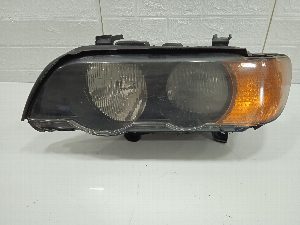 FARO IZQUIERDO BMW X5 (E53) 2002