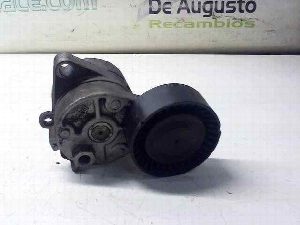 Tensor Correa Auxiliar BMW X5 (E53) 2002