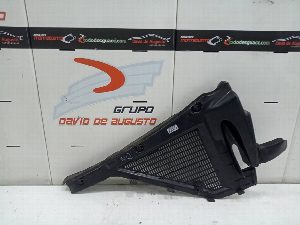 PLASTICO OVAN BMW X6 (E71) 2010