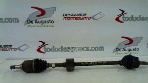 No Identificado FIAT PUNTO BERLINA (188) 2000