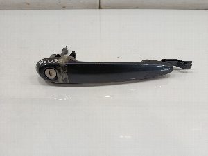 MANETA EXTERIOR DELANTERA IZQUIERDA BMW